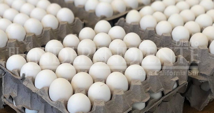 Por COVID-19, hasta en 90 pesos se vende la cartera de huevo en Los Cabos