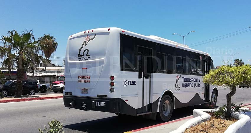 En Los Cabos, no hay límite de pasajeros a bordo de transporte público