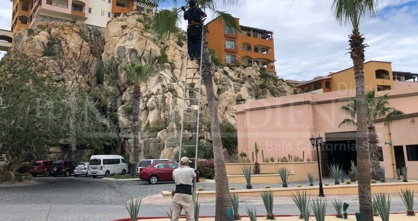 Hoteleros buscan mecanismos para no afectar a base trabajadora durante crisis del COVID-19