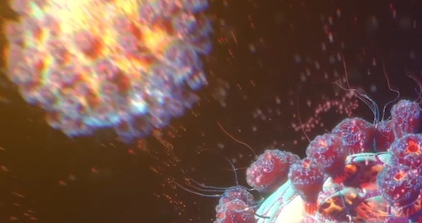 Aumentan a 11 los  casos sospechosos de COVID-19 en BCS