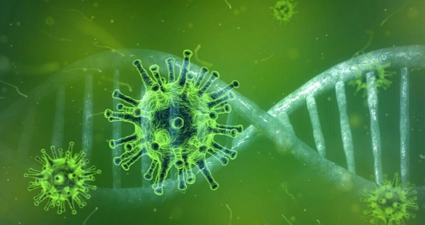 Aumentan a 6 los casos confirmados de COVID-19 en BCS