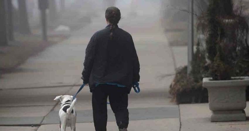 ¿Por qué EU es líder mundial en casos de coronavirus?