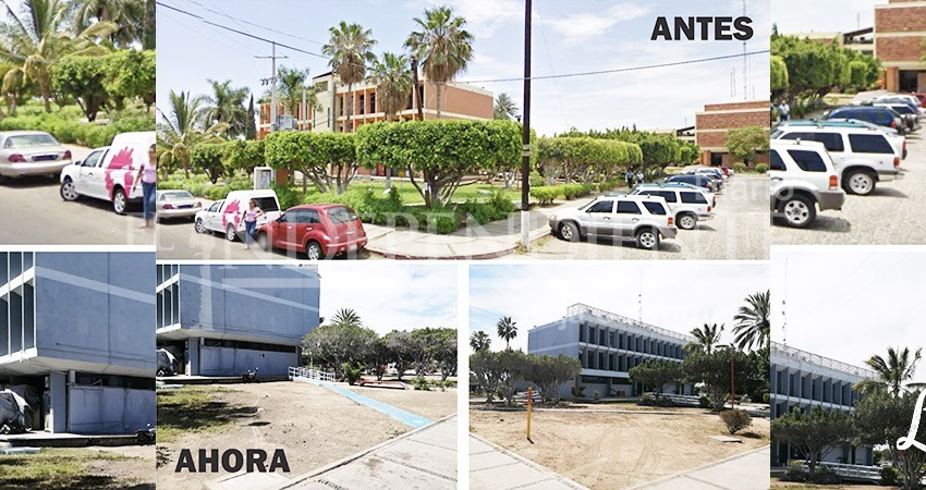 Por remodelación, talan arboles del Palacio de Gobierno; “todo en orden”, dice Ecología Municipal
