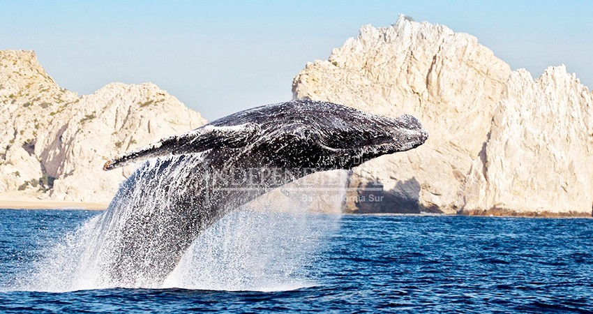 Lanzarán campaña en la cual se mostrará la resiliencia del destino