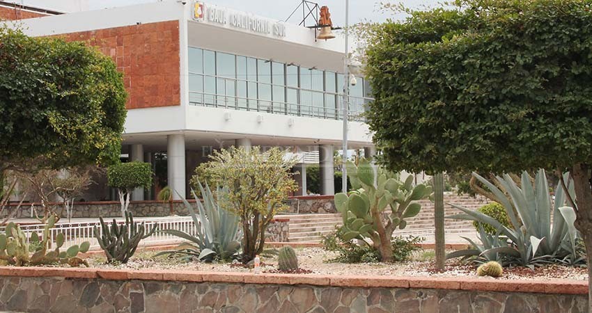 Senado de la república pide que gobierno del estado brinde apoyo fiscal a la población