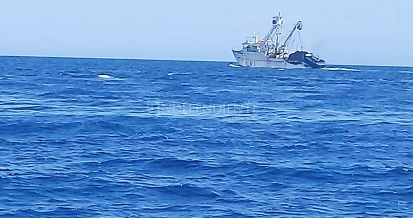 Denuncian presencia de barcos atuneros maniobrando a unas millas de Cabo Pulmo