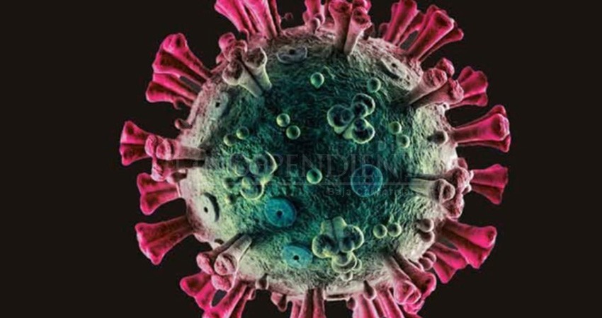 Confirman al primer paciente recuperado de COVID-19 en Comondú