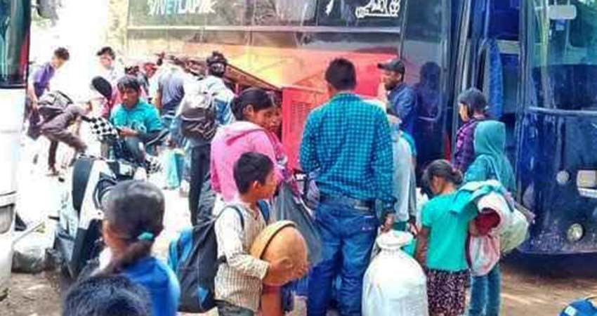 Jornaleros indígenas olvidados en la pandemia