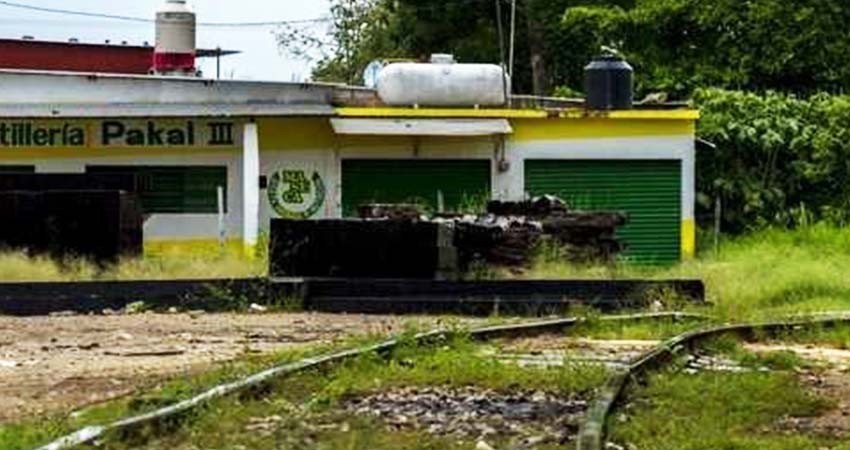 Otorgan amparo contra Tren Maya en Palenque