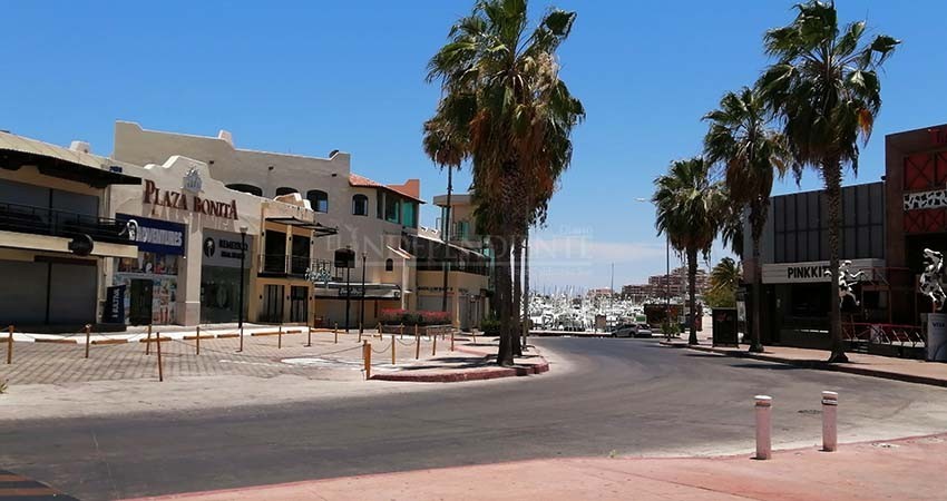 Vamos bien, pero Los Cabos no puede bajar la guardia ante COVID-19: CCC