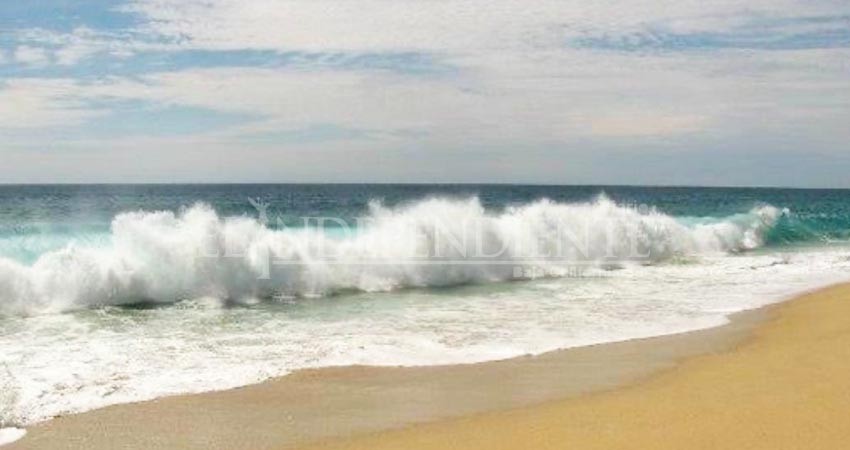 Viento y oleaje tienen detenidos a pescadores de Los Cabos