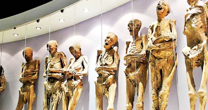 Preocupa estado de las momias de Guanajuato; hay una probable desaparición de 22 restos