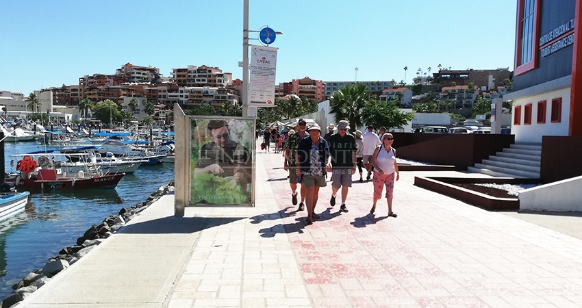 Olvidados y en crisis económica guías de turistas en Los Cabos