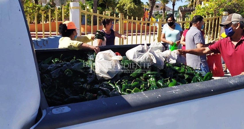 Productores sudcalifornianos donan 12 toneladas de verduras a ciudadanos de CSL