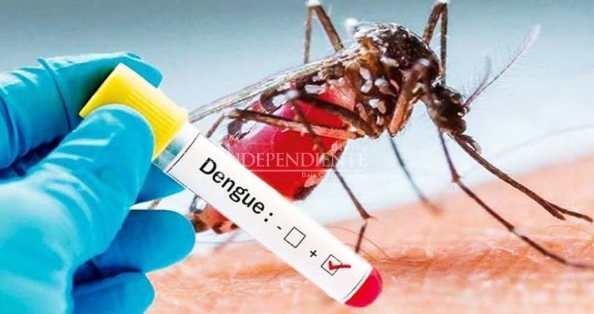 Registra BCS tres casos confirmados de dengue en lo que va del 2020