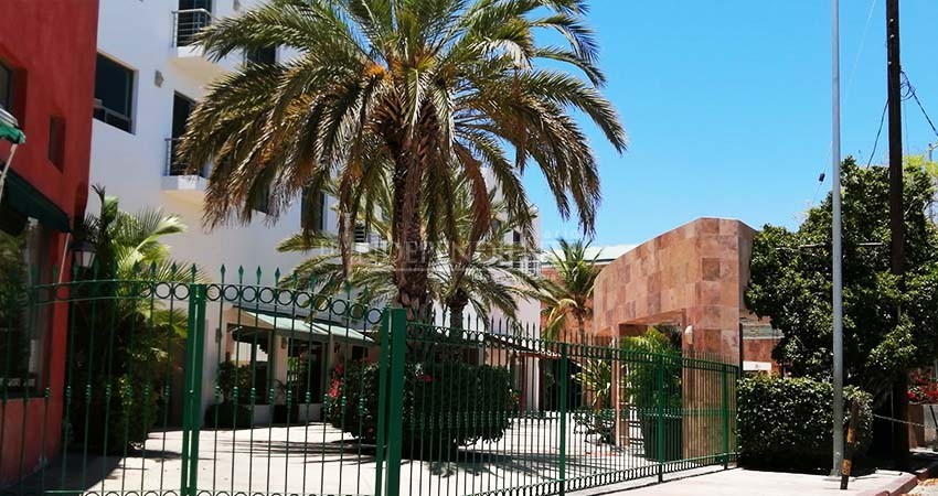 Comunidad náutica de CSL suman apoyo mutuo en comedor comunitario