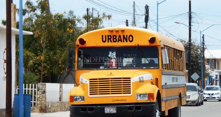 Frecuencias de paso de transporte urbano y colectivo serán reguladas bajo determinación de autoridades sanitarias: Transporte Municipal 
