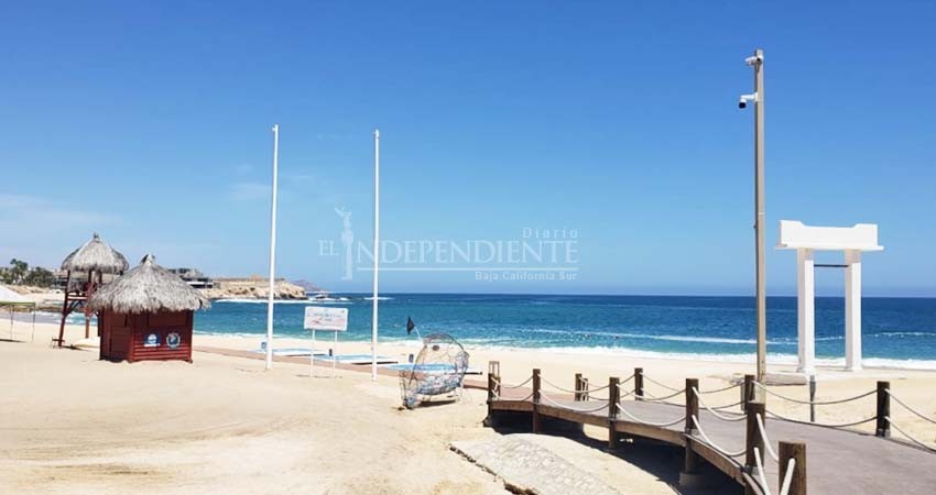 Presencia de sargazo en el Caribe podría beneficiar a Los Cabos