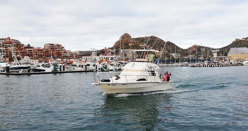Consideran viable el capturar Totoaba como pesca deportiva en el Mar de Cortés