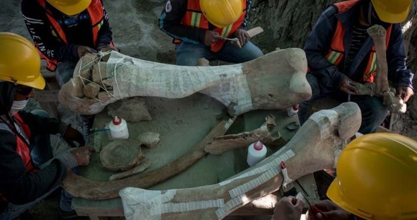 Desechan demanda para suspender AIFA tras hallazgo de fósiles