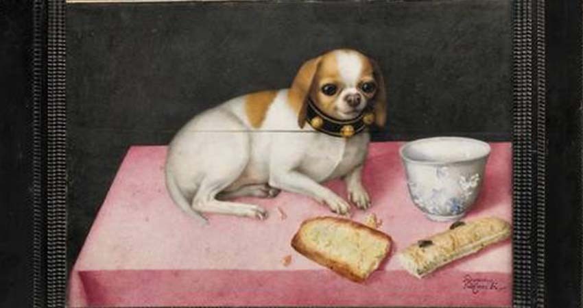 Universo barroco de pintora Giovanna Garzoni reabre el palacio Pitti