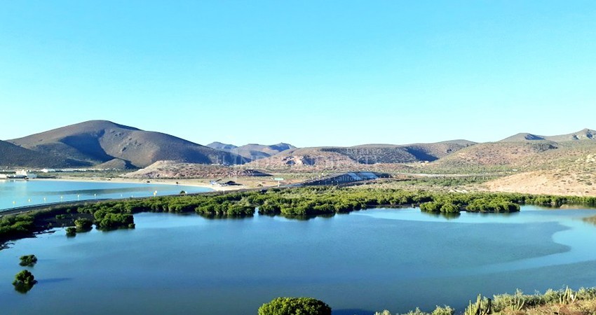 Evalúa CONANP daño a los sitios Ramsar por explosiones en Pichilingue