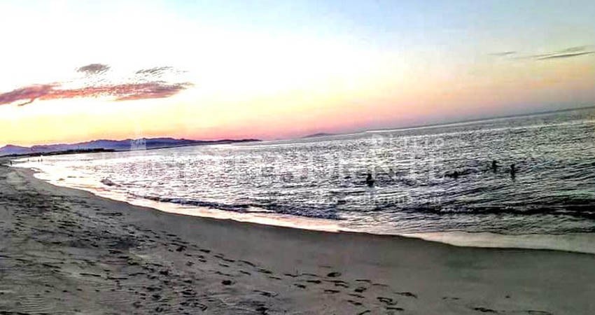 Hay alerta en playas de La Ribera por presencia de tiburones