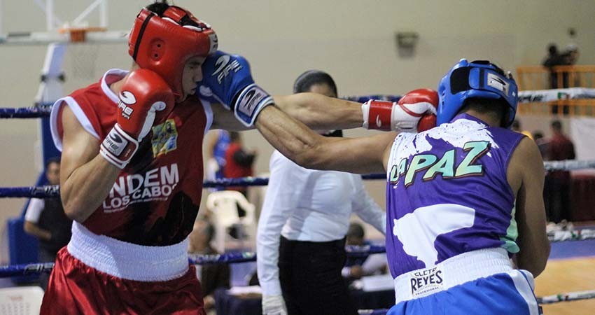 Invita asociación de box a conferencia sobre efectos del COVID19