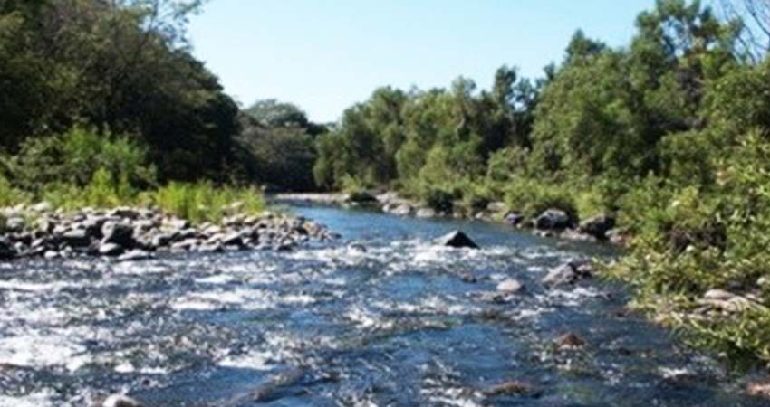 Aprobado acuerdo ambiental entre México, Canadá y EU