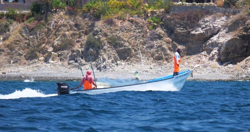 Denuncian a “Los Naranjo”, usan chinchorros y amedrentan a los pescadores de Punta Arena