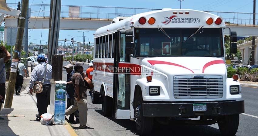 Esta semana inicia la regularización de rutas y horarios del transporte urbano y colectivo 