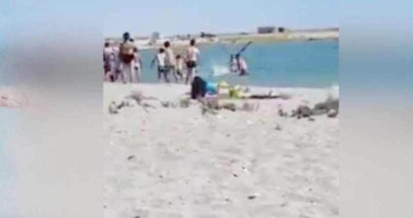 Turistas golpean a foca hasta dejarla inconsciente para tomarse fotos con ella