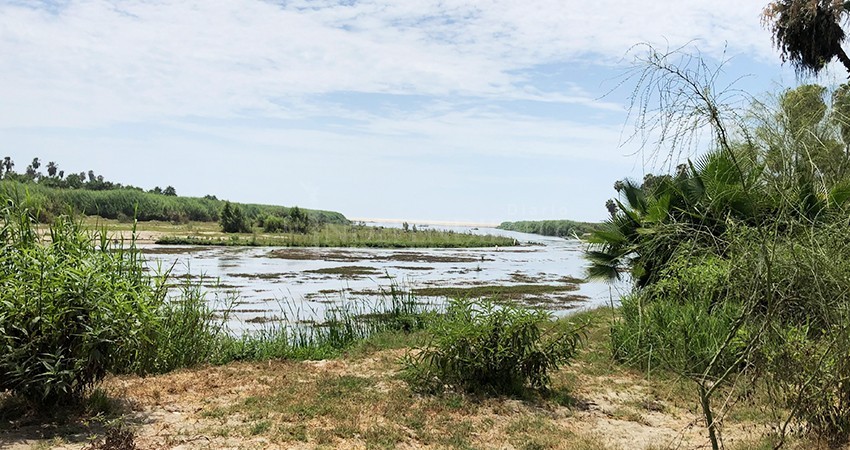 Estero de SJC requiere una cirugía mayor para su recuperación y cuidado