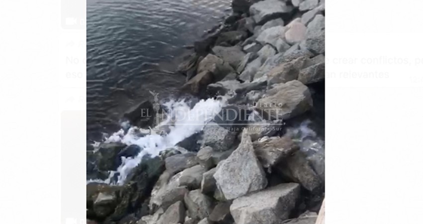 Regresaron los vertidos de líquido a la marina de Cabo San Lucas 