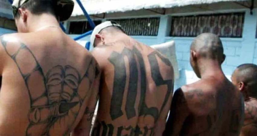 EU acusa por primera vez de terrorismo a miembro de 'Mara Salvatrucha'