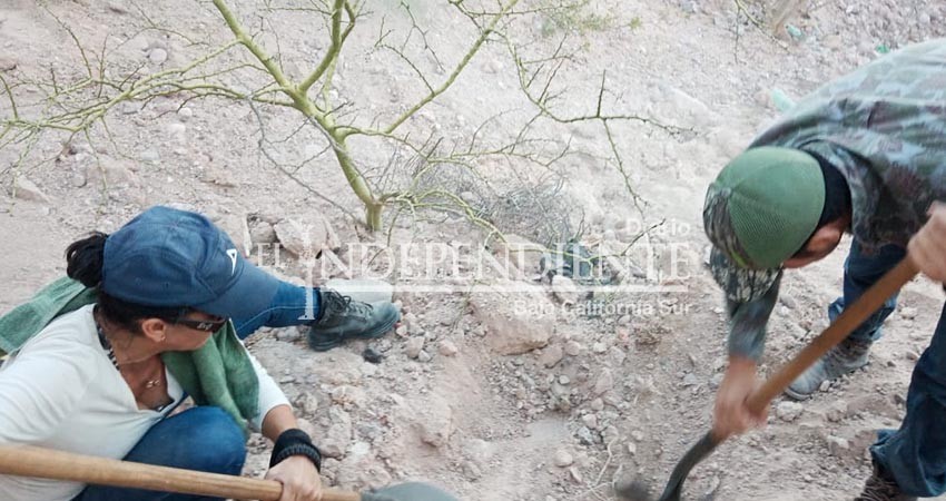 Comisión de Búsqueda por La Paz reportó hallazgo de restos humanos