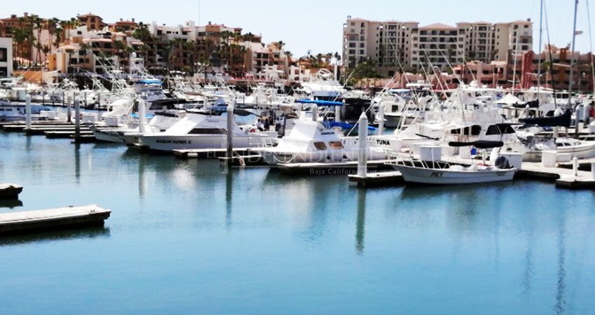 ‘Regatean’ turistas tarifas para pesca deportiva en Los Cabos