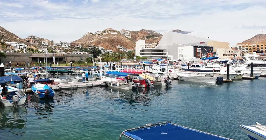 Autorizan actividades de turismo náutico en Los Cabos