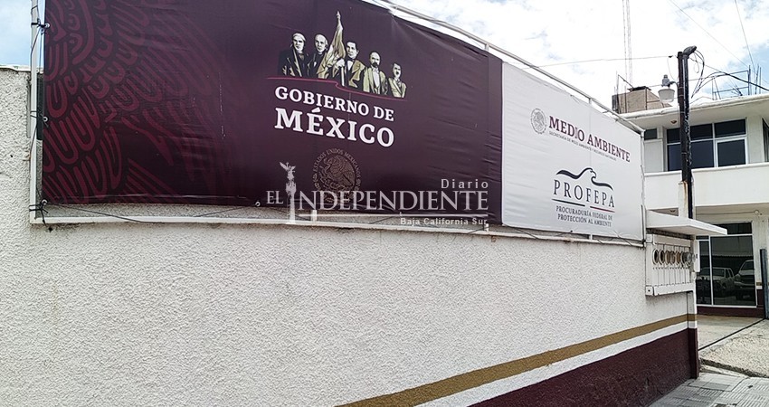 “No damos entrevistas” dice PROFEPA a 5 asuntos importantes por aclarar