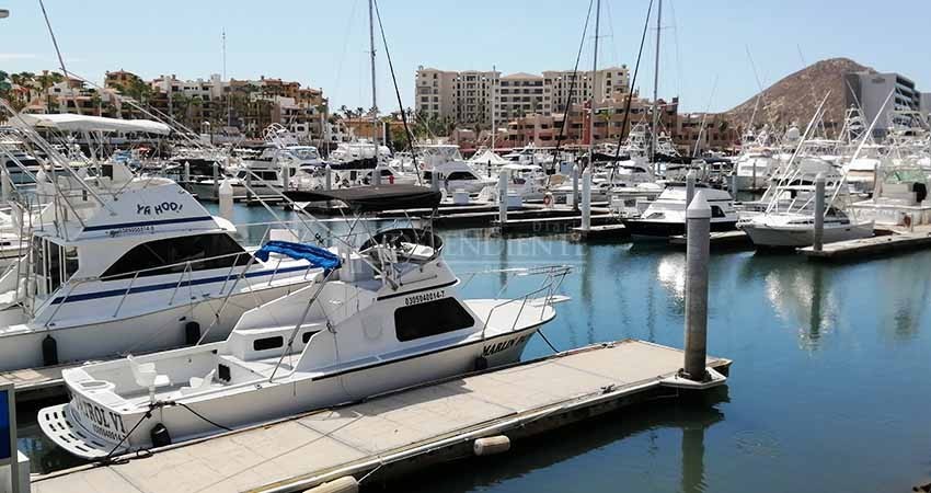 Listo protocolo de salud para torneos de pesca deportiva en BCS