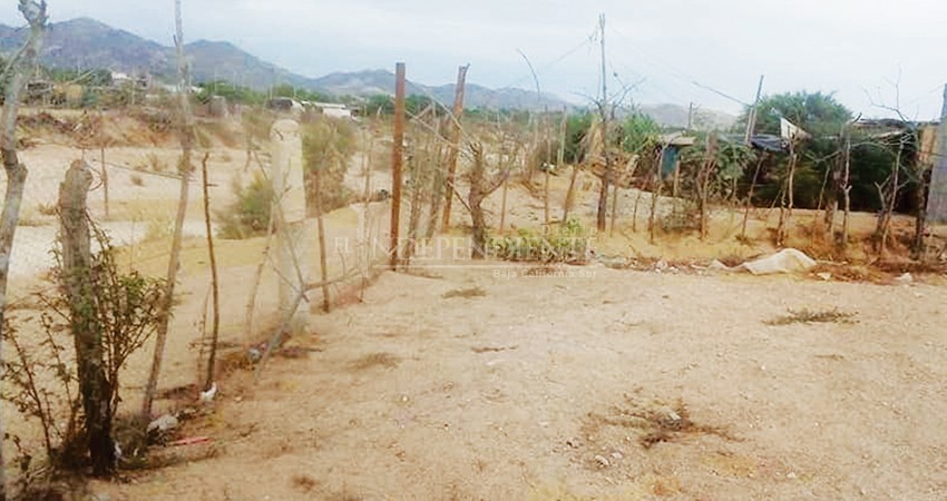 Hasta 22 mil pesos, precio de un terreno invadido en tiempos de pandemia