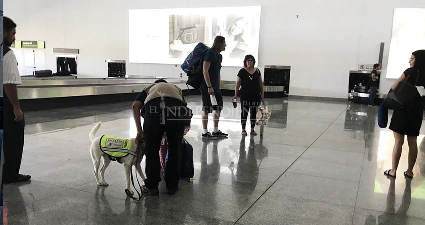 Disminuye a nivel nacional 41% arribo de turistas internacionales en lo que va  del 2020