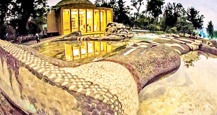 Reasignan 96 millones de pesos al Proyecto Chapultepec