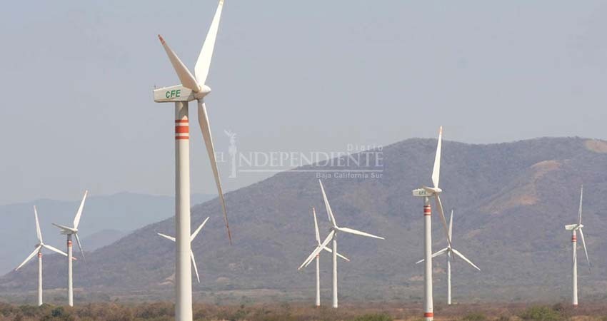Baja California Sur no puede conectar energías renovables a su sistema: CENACE