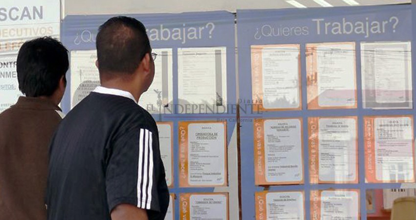 “Dicen que hay recuperación, pero empleo en BCS cayó 10% más en julio”: Observatorio