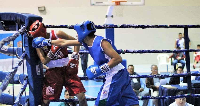 Convocan al Congreso Internacional de boxeo olímpico