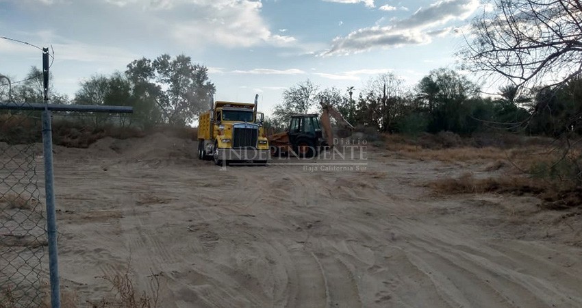 Exige asociación que detengan y sancionen a empresa por destruir flora endémica de BCS