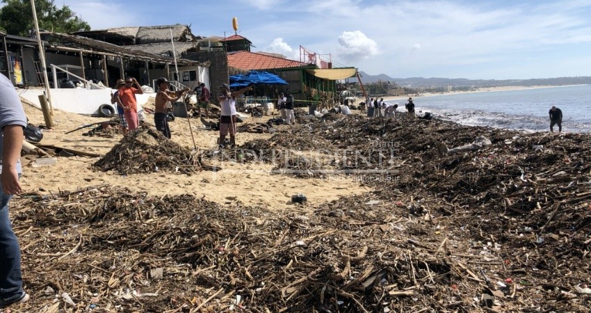 Aunque importante, fue baja la respuesta de voluntarios para la limpieza de El Médano