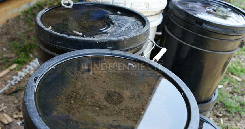 Tras lluvias recientes, piden limpiar y eliminar áreas propicias para criaderos de mosquitos