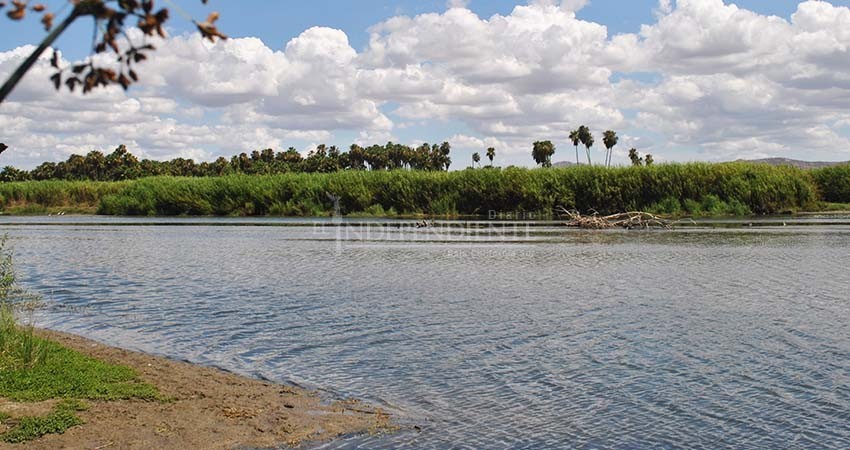 Residuos utilizados durante la pandemia llegan hasta el estero